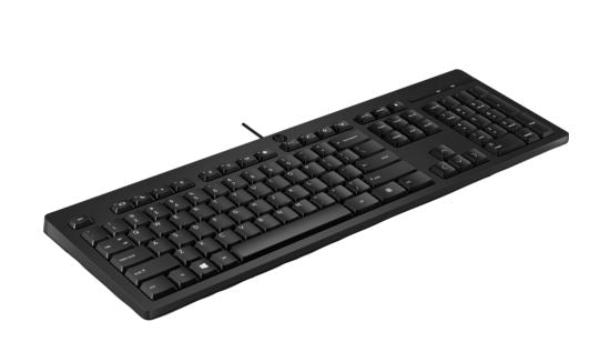 HP 125 Wired Keyboard - Compatible with Windows 10, Desktop PC, Laptop, Notebook USB Plug and Play Connectivity, Easy Cleaning 1YR WTY, 266C9AA