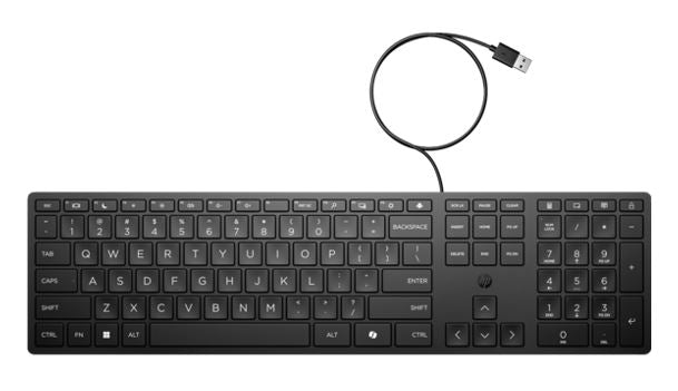 HP Wired 320K Full-Sized Keyboard - Compatible with Windows 10, Desktop PC, Laptop, Notebook USB Plug and Play Connectivity, Easy Cleaning 1YR WTY, 9SR37UT