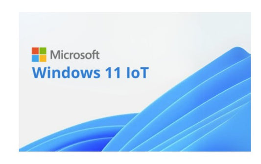 Microsoft Windows 11 IOT Enterprise Multi Language OLC - By Order - NO Refund once issued - Key Only, FZP-00024