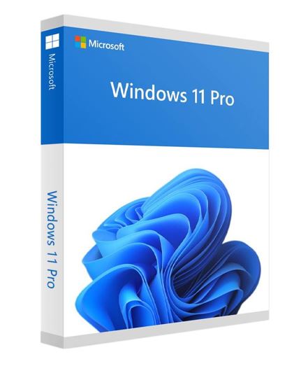 Microsoft Windows 11 Professional 64-bit USB Flash Drive Retail Pack Full Package Product, HAV-00163