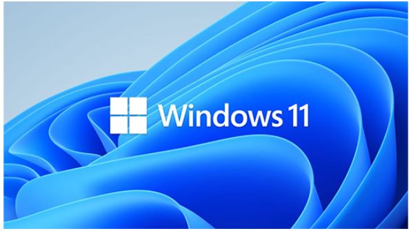 Microsoft Windows 11 Professional for Workstation 64 BIT - By Order, HZV-00101