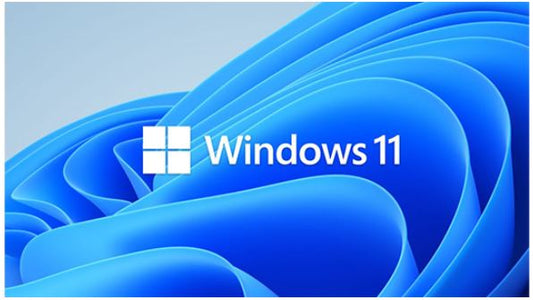 Microsoft Windows 11 Professional for Workstation 64 BIT - By Order, HZV-00101